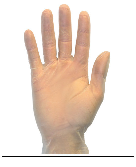Clear Standard Powder Free Vinyl Gloves, 100/BX, 10BX/CS, XL