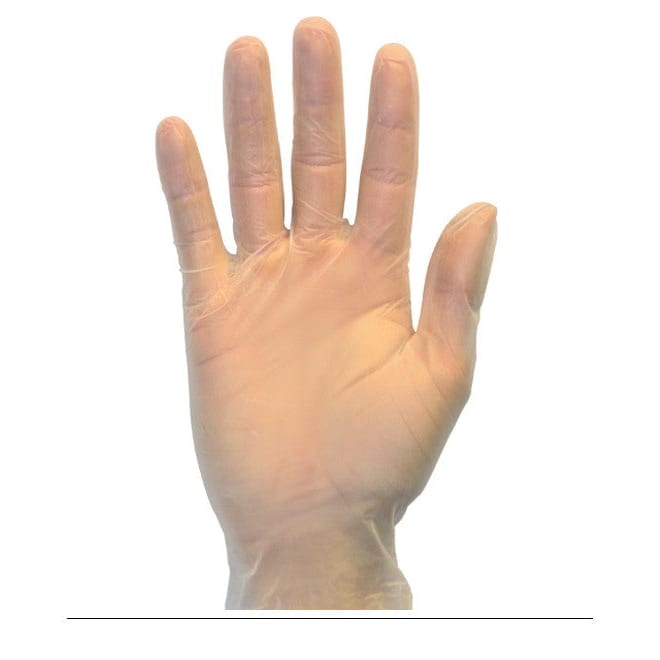 Clear Standard Powder Free Vinyl Gloves, 100/BX 10BX/CS, Medium